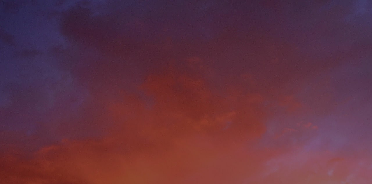 COA Accredited Agency